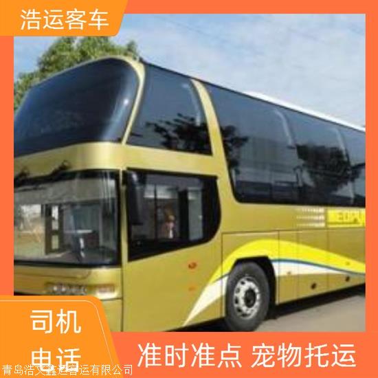 2025热点 荣成到海安长途车旅游包车拼车wifi排名一览