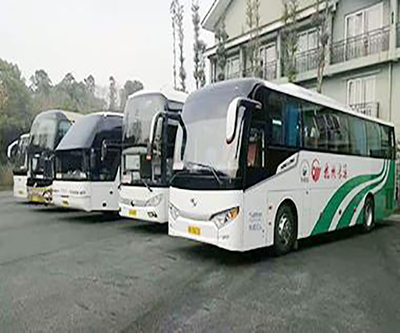 为什么19座商务客车包车越来越受欢迎?