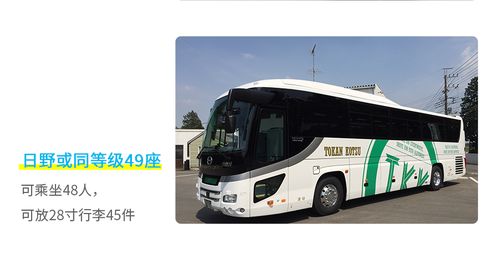 冲绳本岛客制化包车服务 灵活行程、中文客服，安心畅游无忧