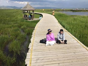 成都至九寨沟包车自助游攻略 畅游若尔盖的完美行程