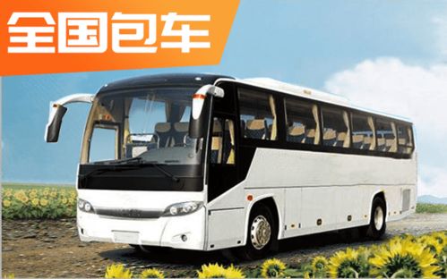 自助旅游，为何包车出行是明智之选？