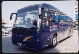 深圳旅游包车服务 解锁自助游的便捷与自由新体验