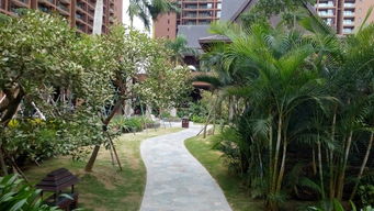 三亚五天包车自助游 自由驰骋，尽享热带风情