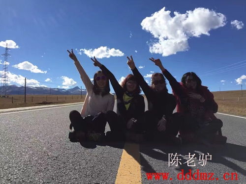 西行川藏线 拼车、包车、自驾与定制游，开启你的高原之旅